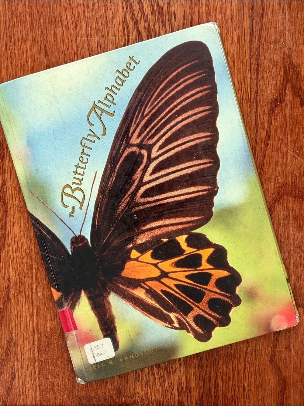 Butterfly Alphabet by Kjell B. Sandved